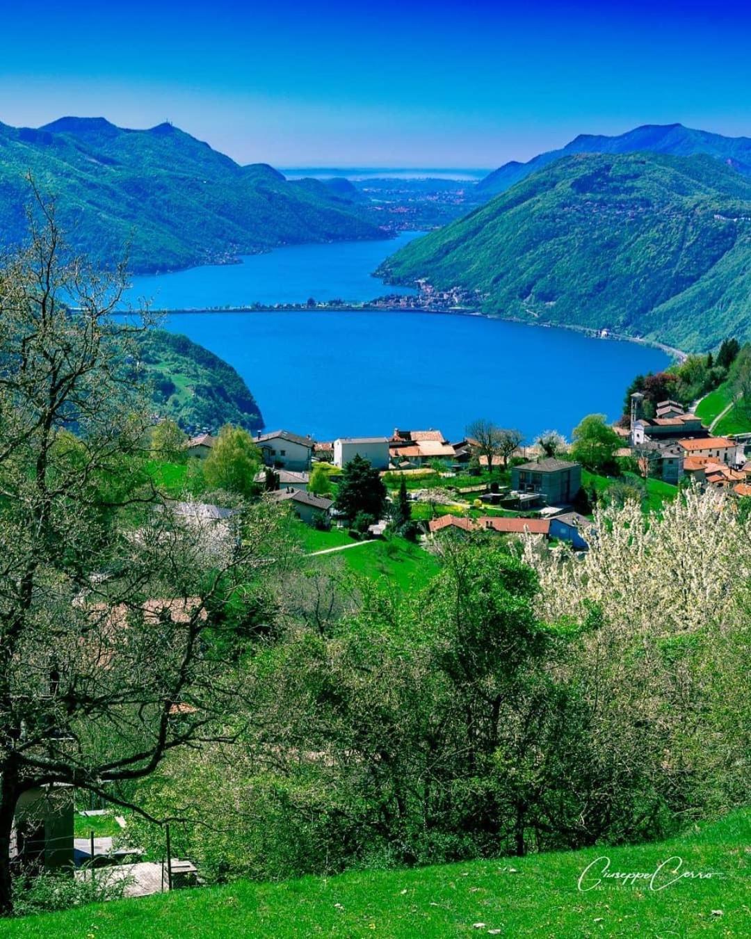 Violet Suite 5 Lugano City For 4 Guest -By Easylife Swiss Eksteriør bilde